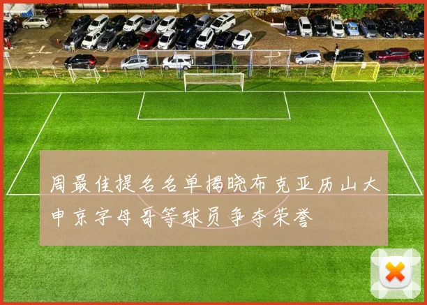 周最佳提名名单揭晓布克亚历山大申京字母哥等球员争夺荣誉