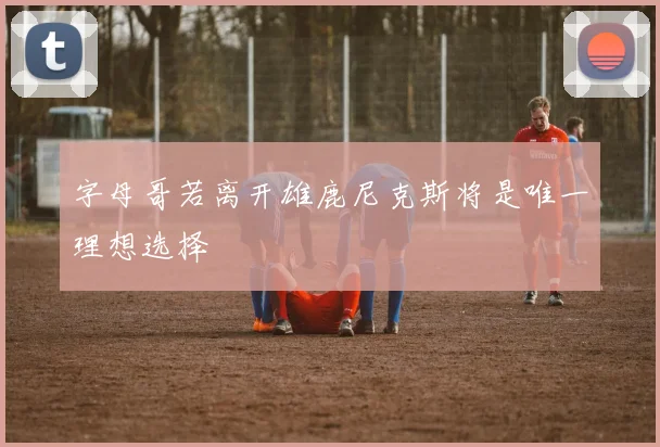 字母哥若离开雄鹿尼克斯将是唯一理想选择