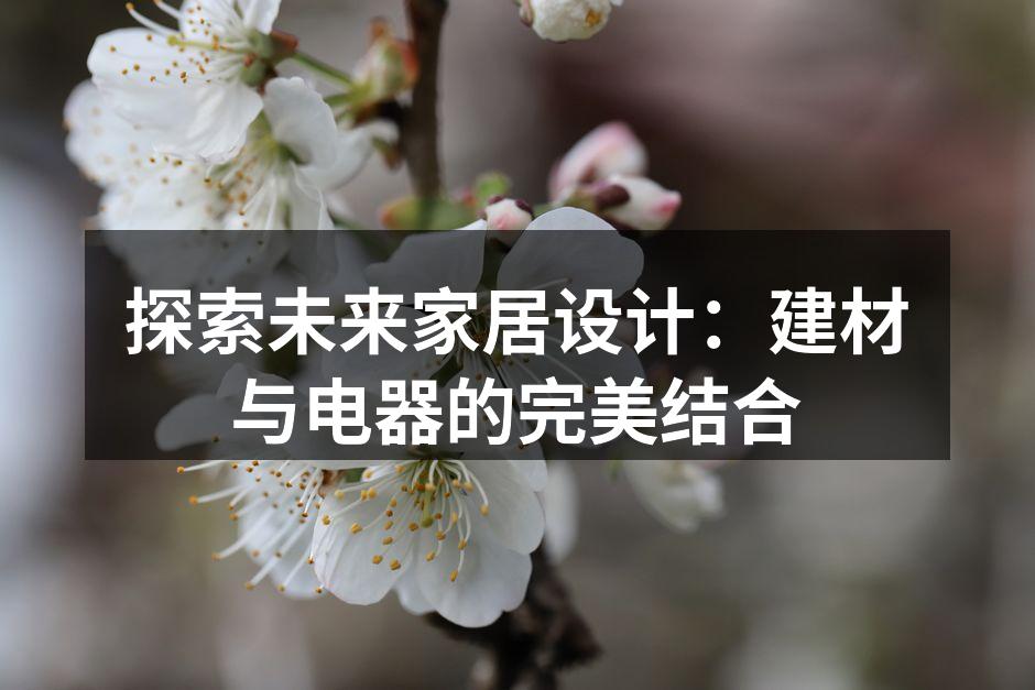 探索未来家居设计：建材与电器的完美结合